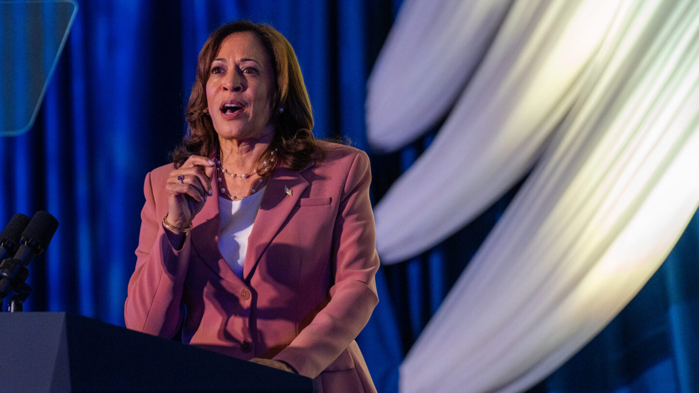 Vice President Kamala Harris challenges Dems to rally in 2024