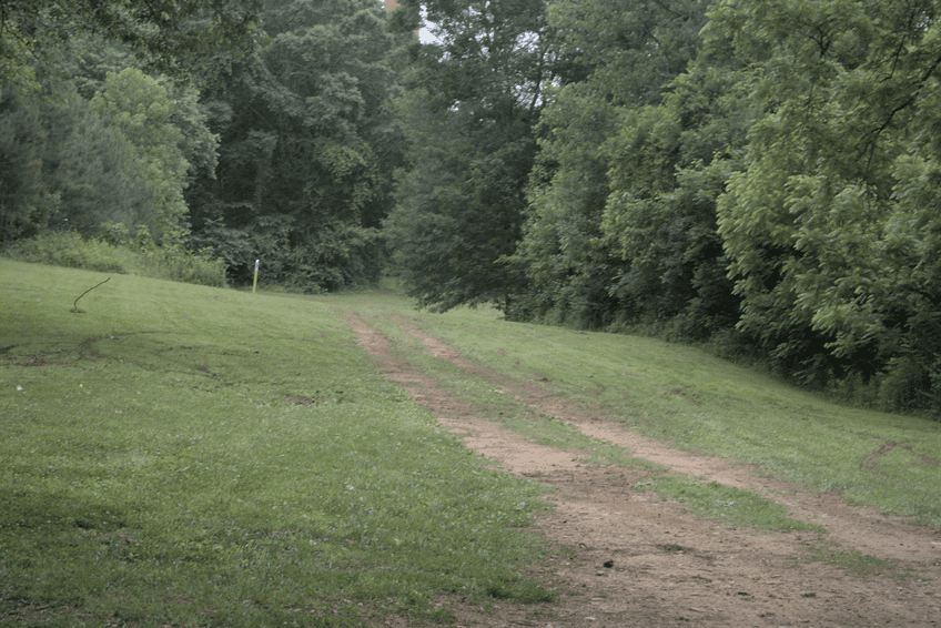 A grassy area with a foot-worn path