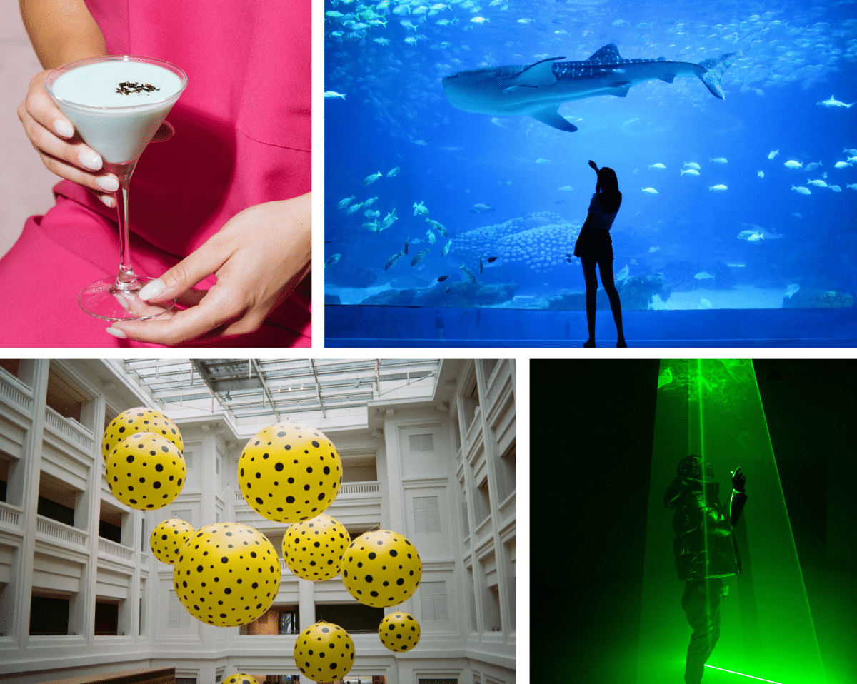 A collage of images, including those of a museum, aquarium, laser lights, and cocktail.