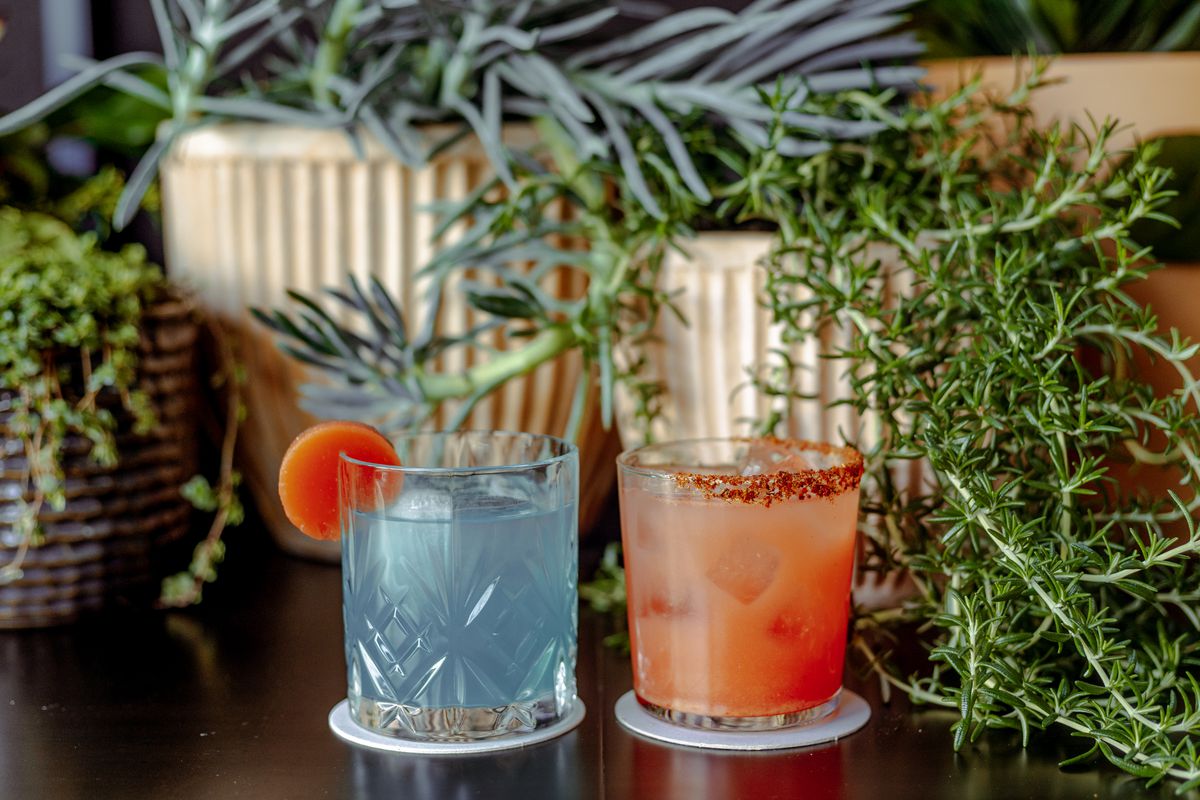 Two colorful cocktails sit in front of pots growing rosemary and other herbs